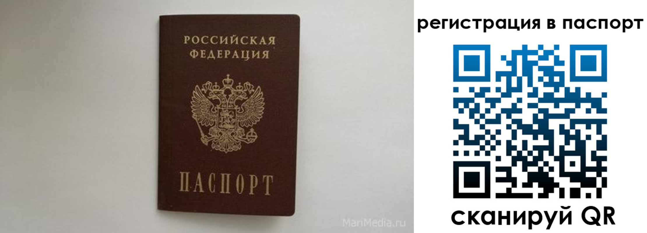 прописка в Ясном